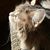 Karen Looby Padfield's profile image