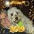Sue Isbell Tucker's profile image