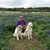 Randall Stephens's profile image