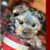 Eli Skop's profile image