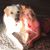 Heather Maier Stickel's profile image