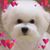 Gladys Medina's profile image