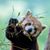 Ben Goldstein's profile image