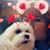 Wendy Barnes Seiwell's profile image