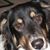 Kevin Estredge's profile image