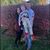 Haleigh Janae Hocker's profile image