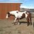 Penny Warren's profile image