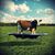 Heather Moyer Lee's profile image