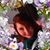 Sarah Jennings's profile image