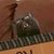 Olivia Patterson's profile image