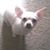 Laura Fowler Elia's profile image