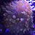 Jason Allan Thompson's profile image