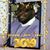 Jamar Bennett's profile image