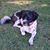 Maureen Hulm's profile image