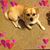 Beatriz Gil's profile image