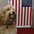 Jill Jones's profile image