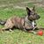 Rhonda Terrebonne LeBlanc's profile image