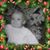 Katherine Bamvakais Spillane's profile image