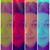Amy Sanchez's profile image