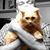 Tom Farley III's profile image