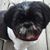 Sara Fitts's profile image