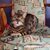 Christy Cole's profile image