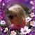 April Justice's profile image