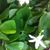 Betsy Ahearn's profile image