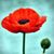 Patricia Robinson-Eury's profile image
