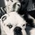 Abby Kochensparger's profile image