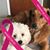Dawn Graber's profile image