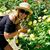 Angela Dunkley's profile image