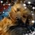 Cynthia Zimmerman's profile image