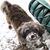 Jacki Hough's profile image
