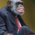Iain Becker's profile image