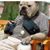 George Brennan's profile image