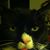 Ollie Manders's profile image