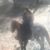 Fran Best Kilcrease's profile image