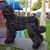Tish Mathias's profile image