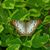 Linda Stetler's profile image