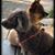 Karen Sherman Thibodeaux's profile image