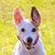 Tricia Green's profile image