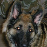 Georgia Kessler Salmons's profile image