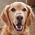 Maureen Kilgour's profile image