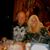 Bruce N Pam Grable's profile image