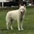 Val Cornwell's profile image
