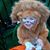 Daphne Hicks Stewart Blevins's profile image