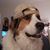 Dan Littlebow's profile image