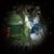 Greg Gigli's profile image
