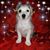 Marlene Kemp's profile image